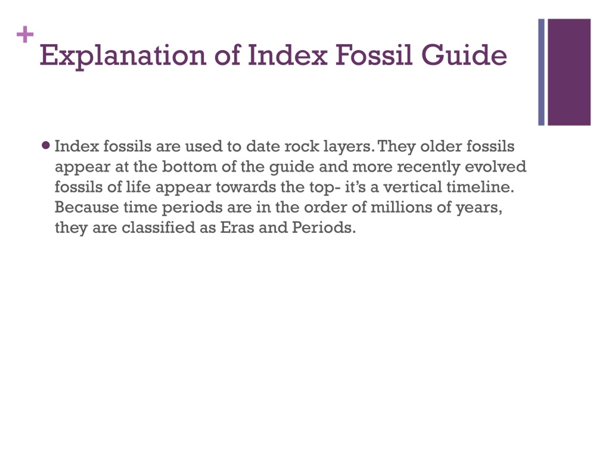 PPT Fossils PowerPoint Presentation, free download ID9003352