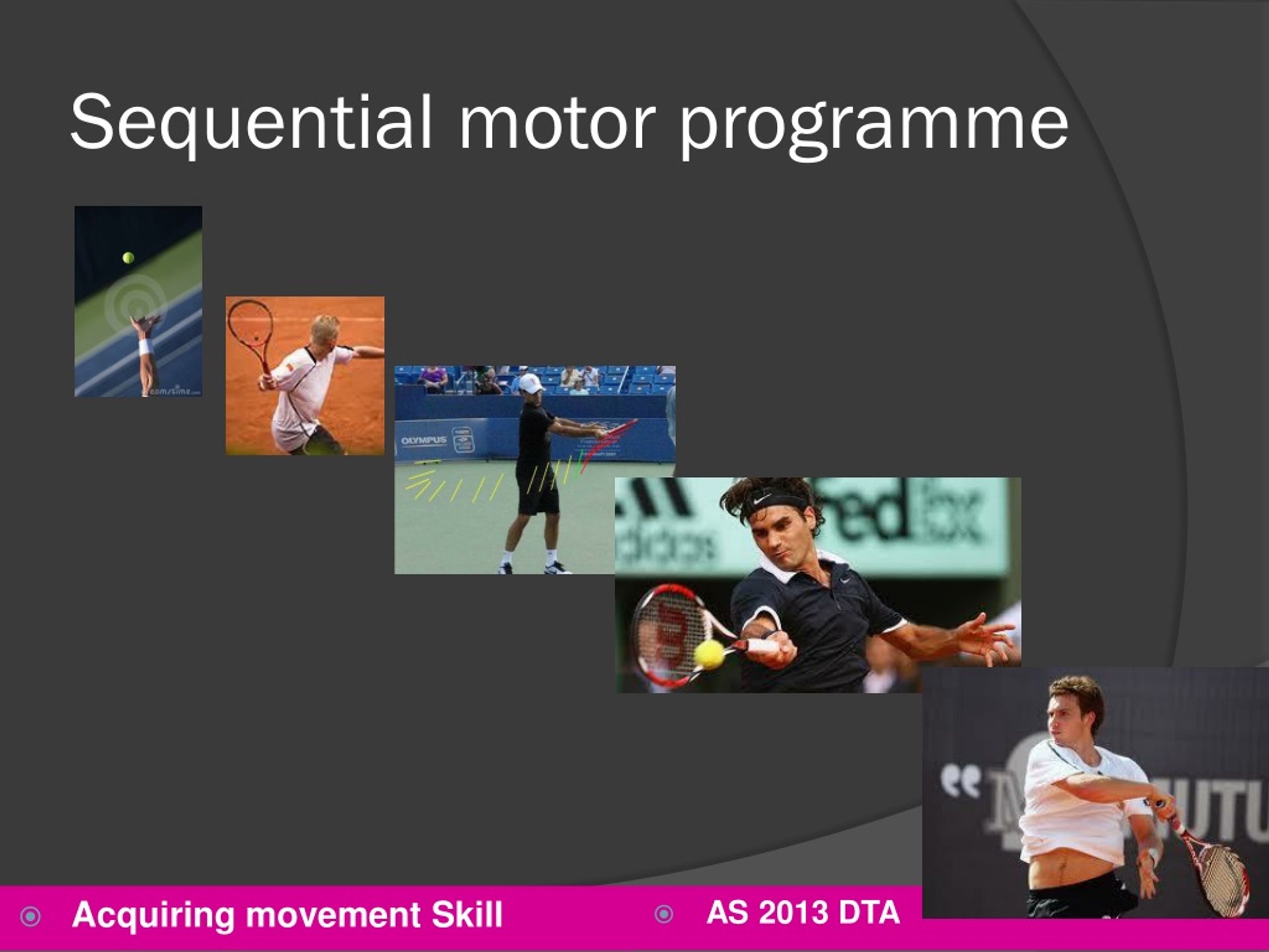PPT Motor Control of Skills and Transfer of Learning PowerPoint