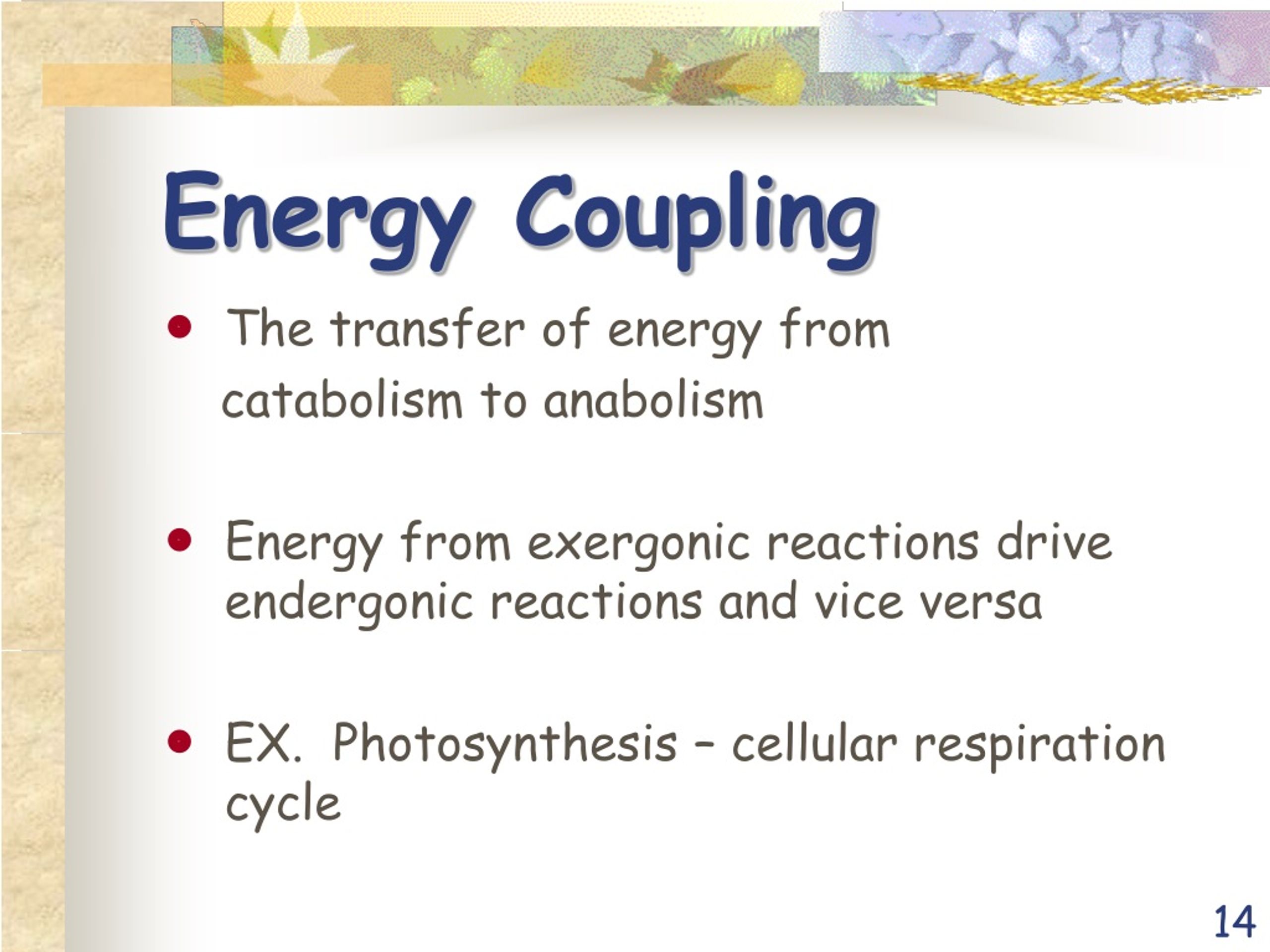 PPT BIOENERGETICS PowerPoint Presentation, free download ID9072015