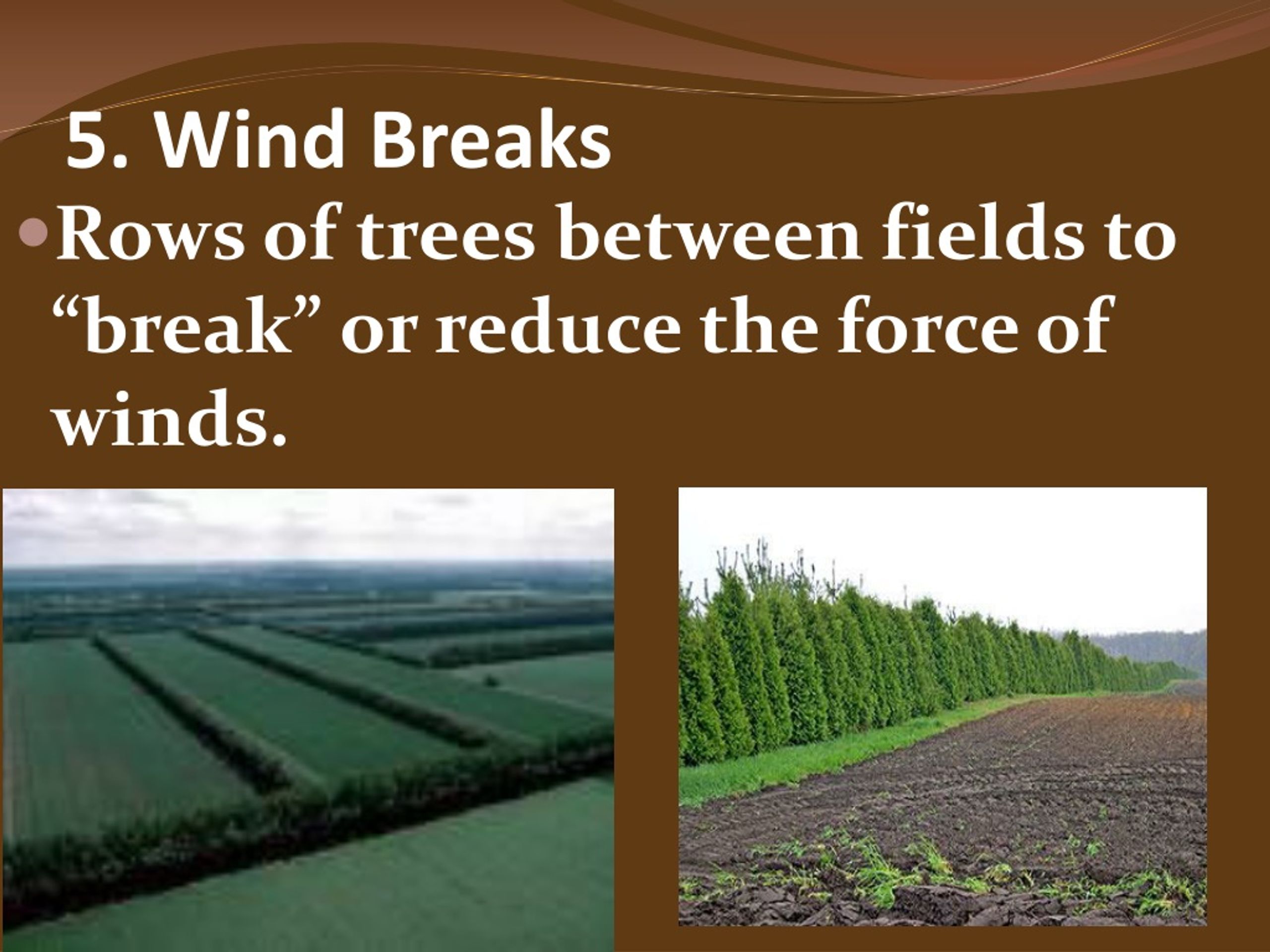 PPT Soil Conservation PowerPoint Presentation, free download ID9073554