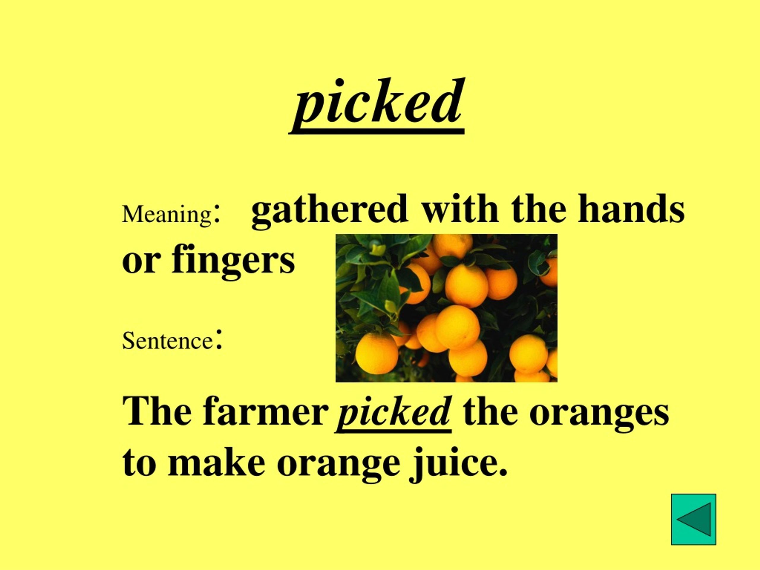 PPT Vocabulary PowerPoint Presentation, free download ID9080680