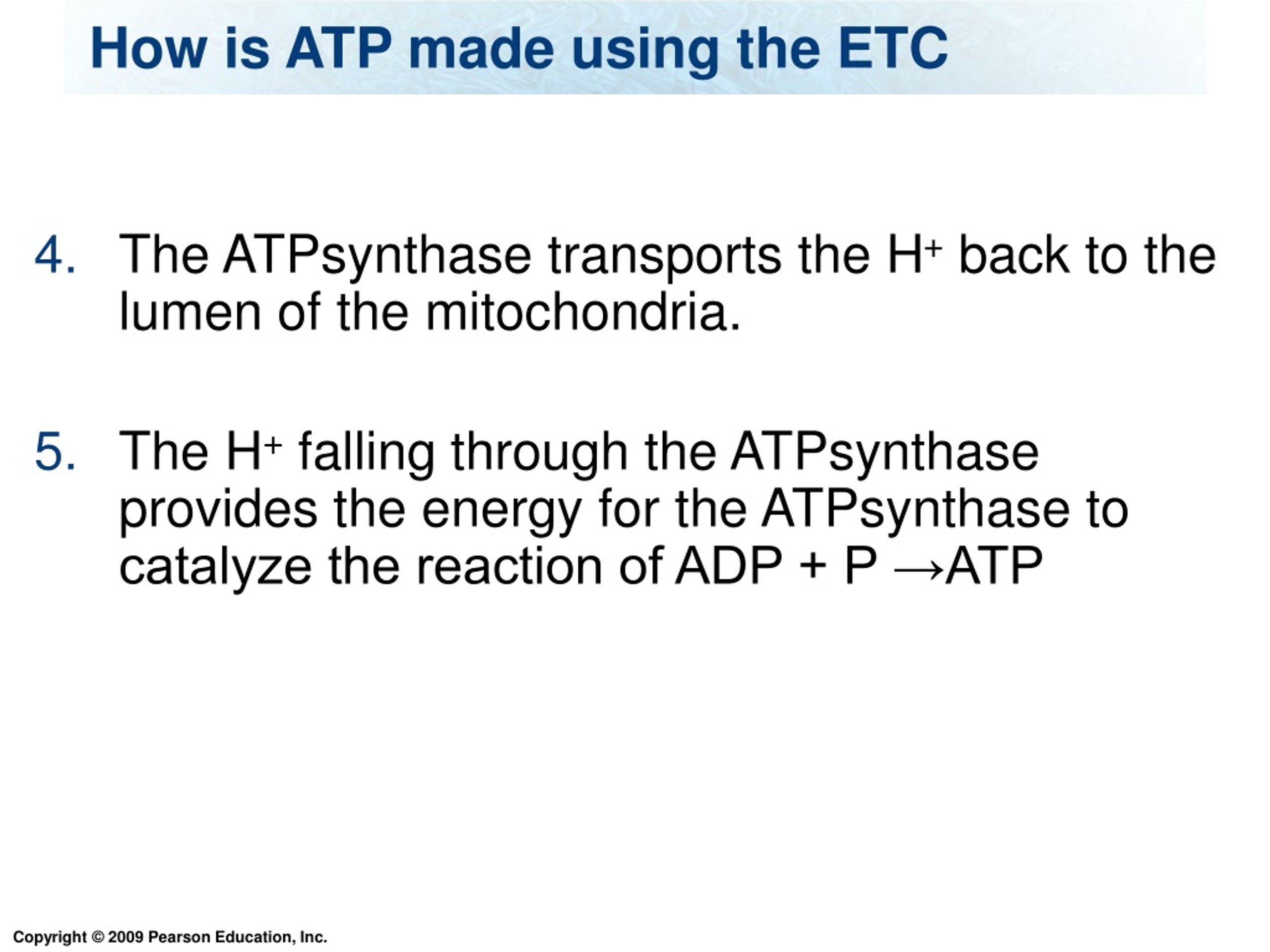 PPT Cellular Metabolism PowerPoint Presentation, free download ID9089627