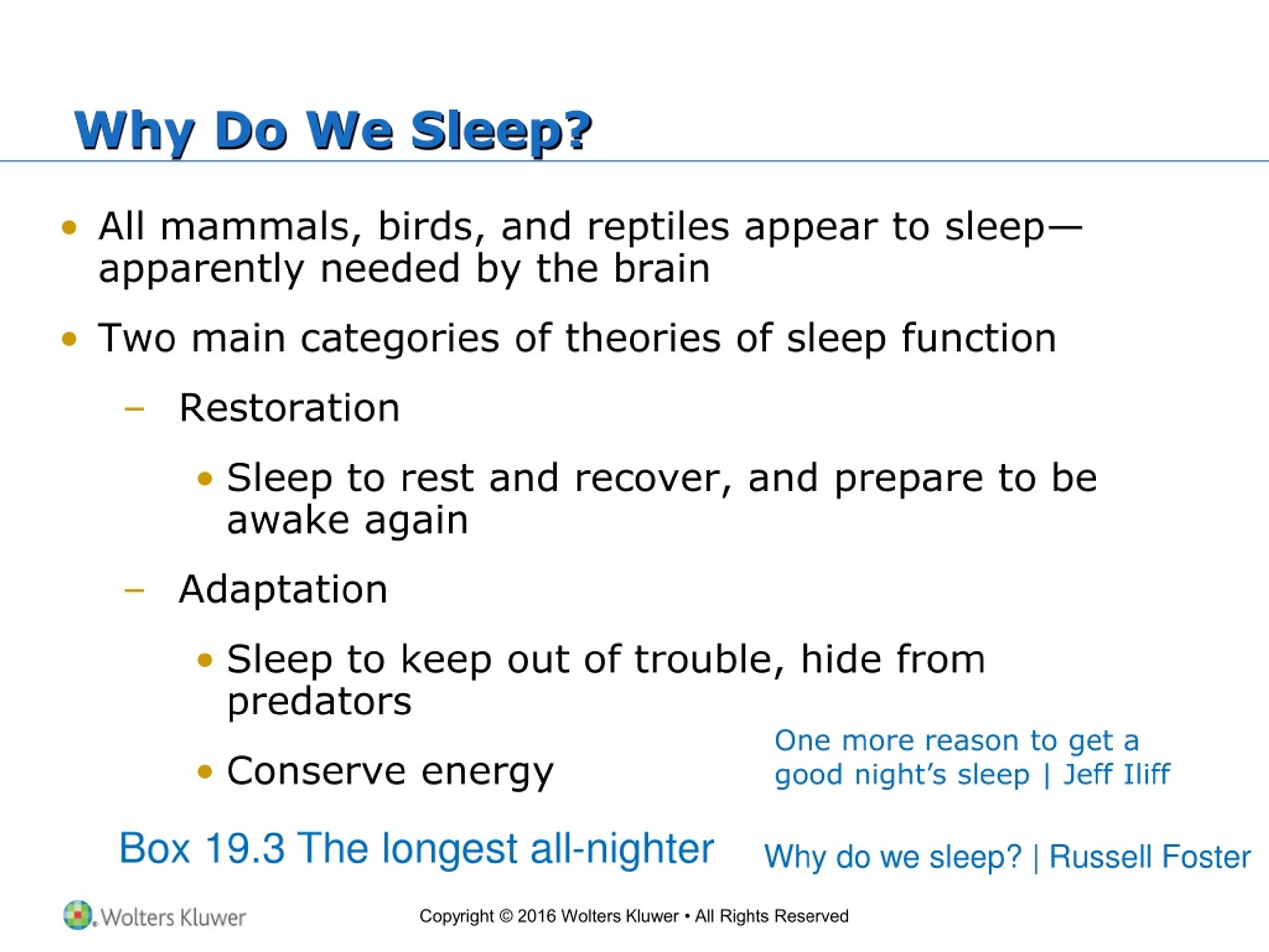 PPT Chapter 19 Brain Rhythms and Sleep PowerPoint Presentation, free