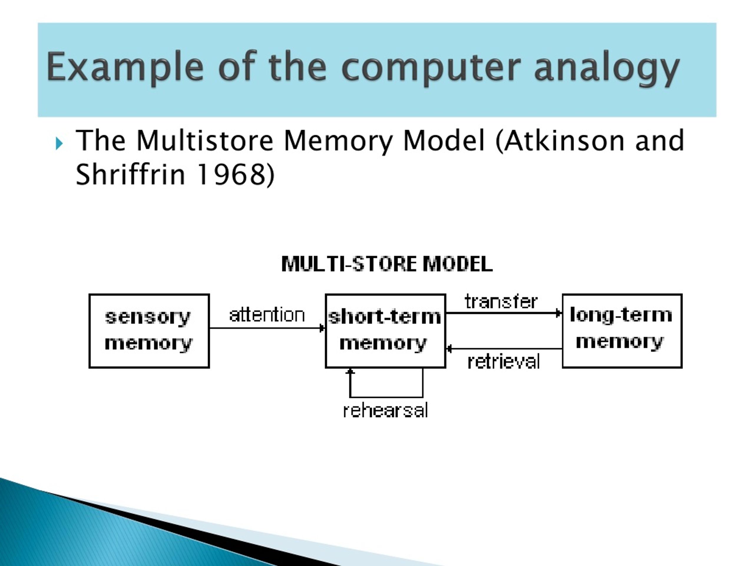 PPT The Cognitive approach PowerPoint Presentation, free download