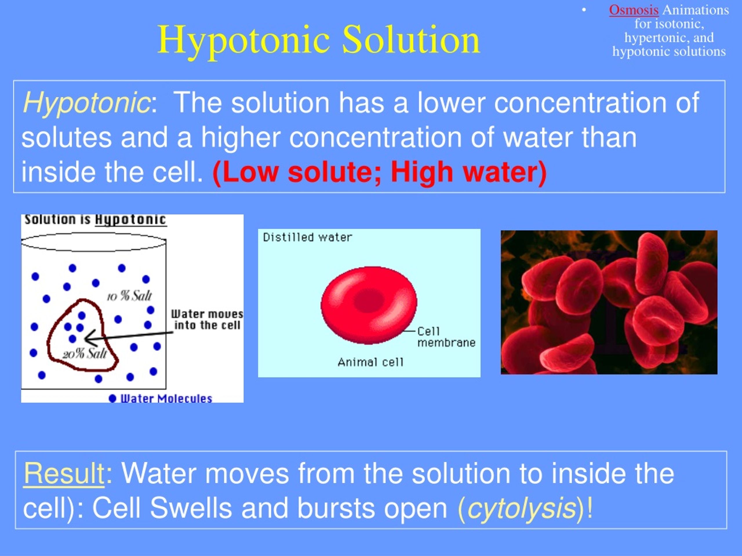 PPT Cell Membranes Osmosis and Diffusion PowerPoint Presentation