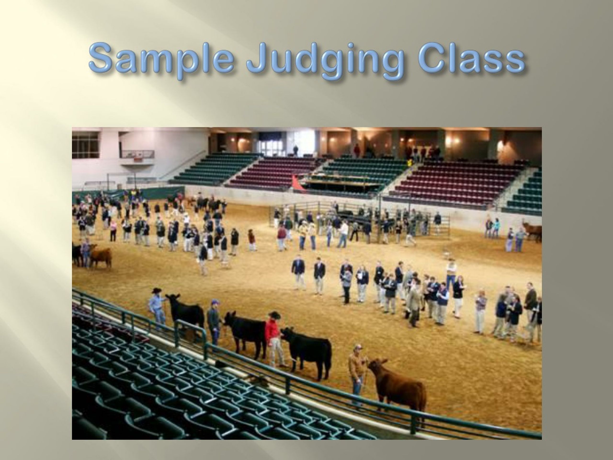 PPT Introduction to Livestock Judging PowerPoint Presentation, free