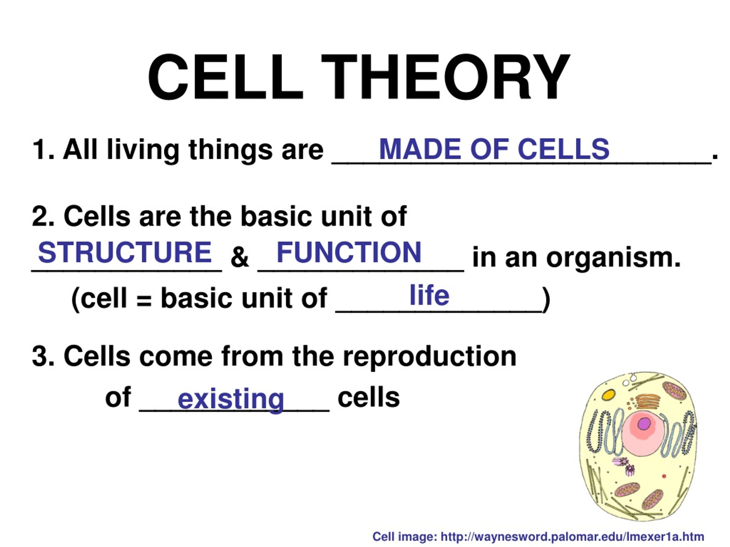 PPT Cell PEOPLE, Cell Size, and Cell Specialization Chap 71 & 74