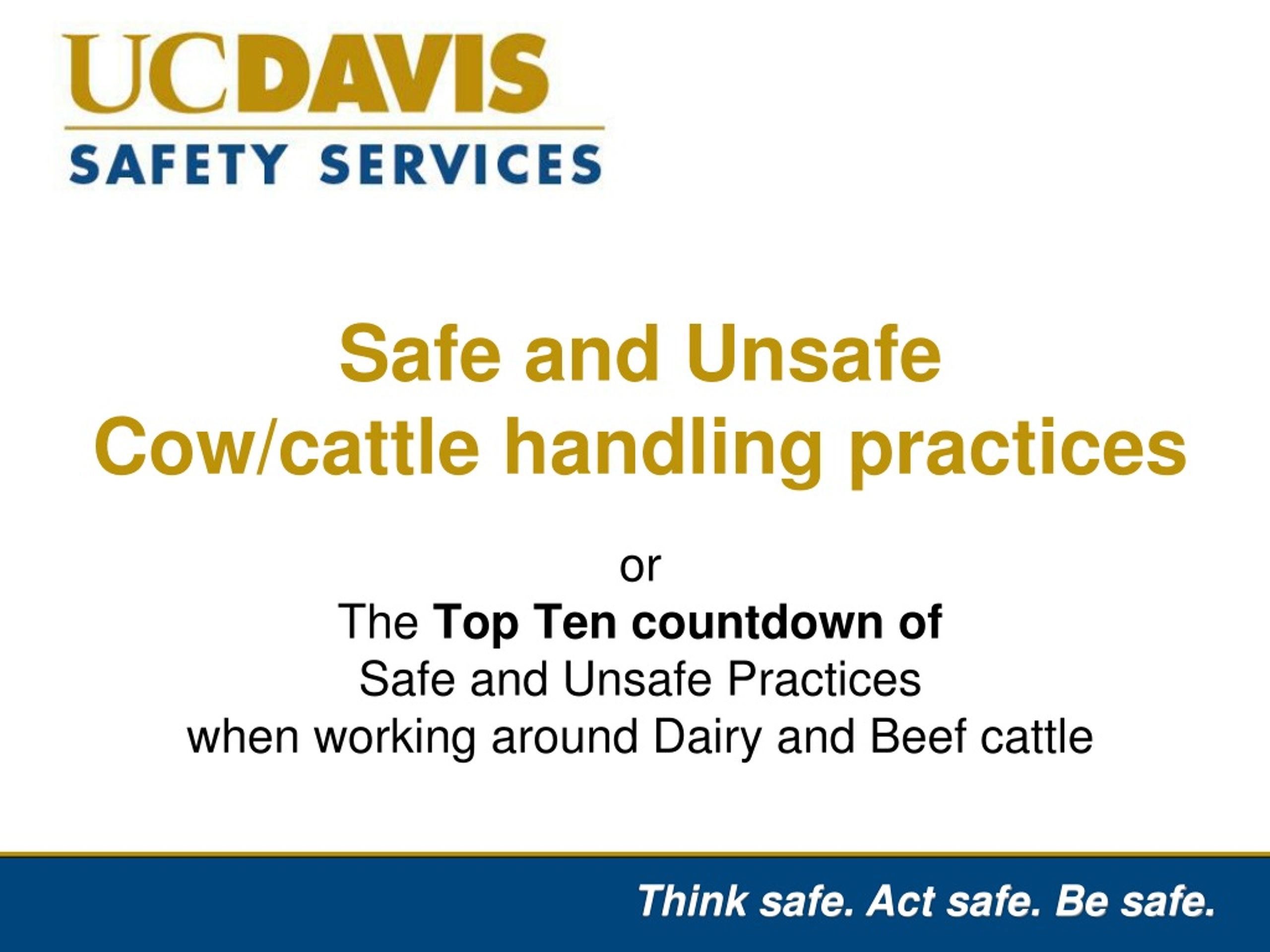 PPT Safe and Unsafe Cow/cattle handling practices PowerPoint