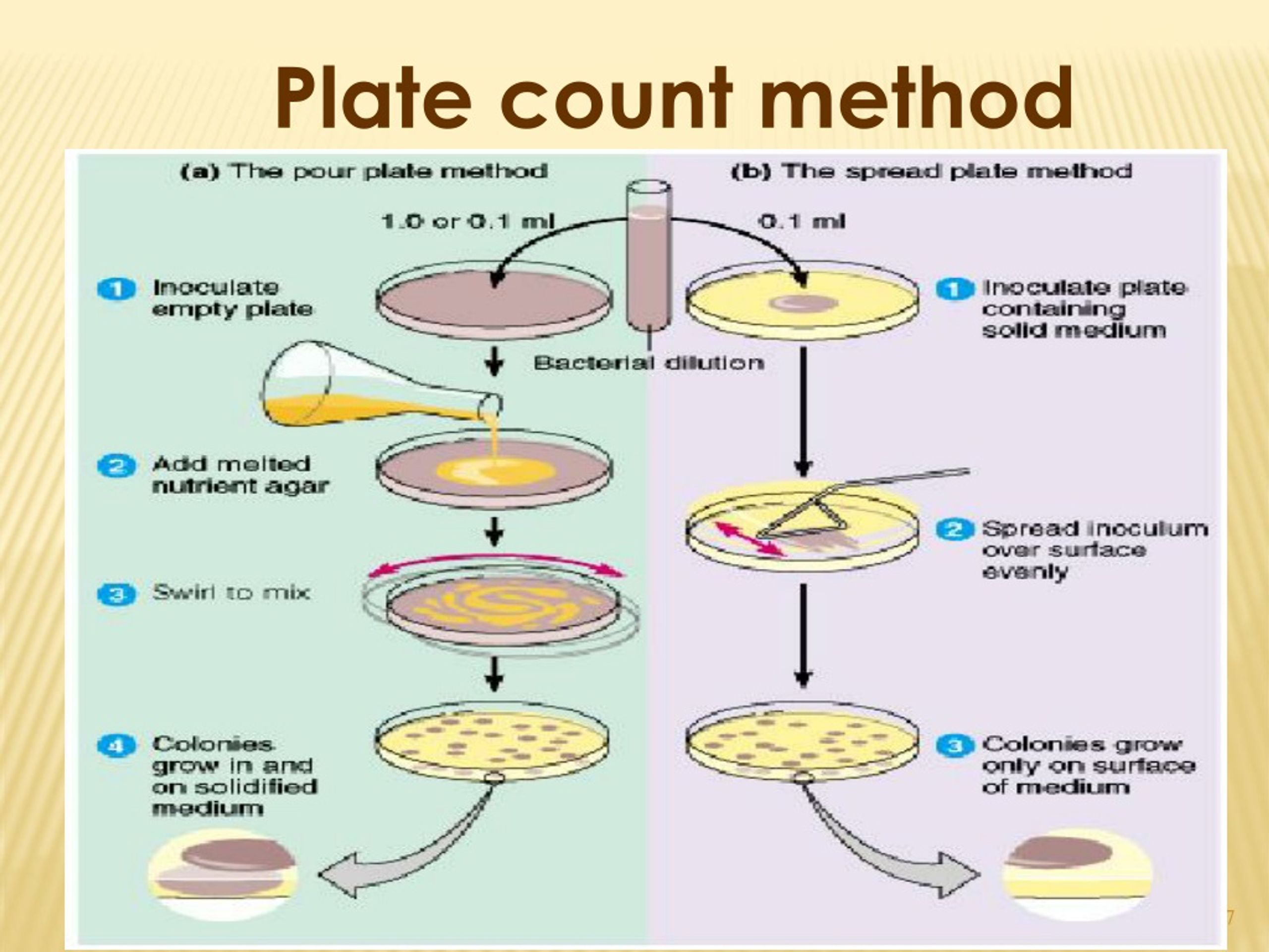 PPT Method for the Microbiological Examination of Foods PowerPoint
