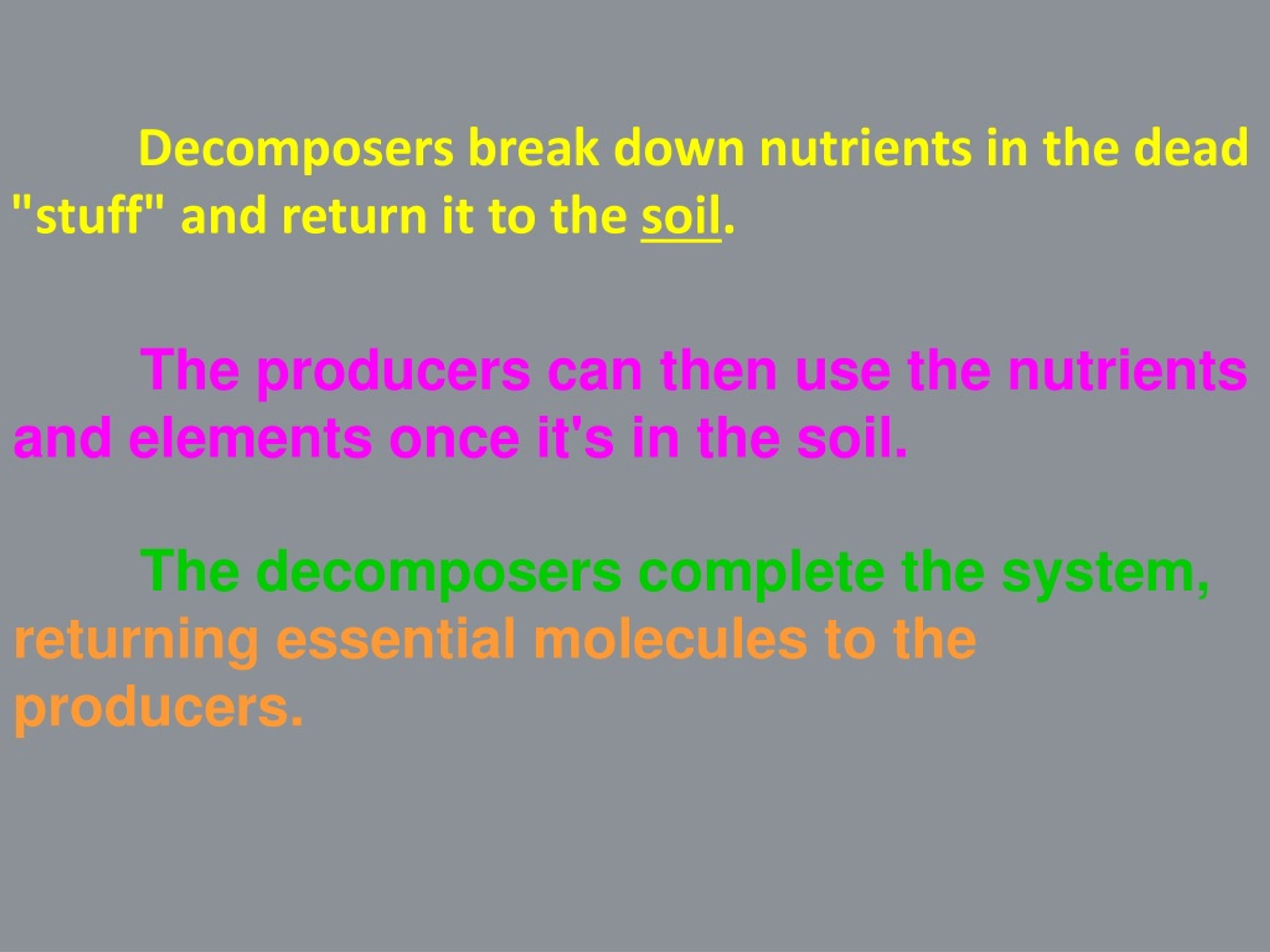 PPT Food Chains and Food s PowerPoint Presentation, free download ID9182955