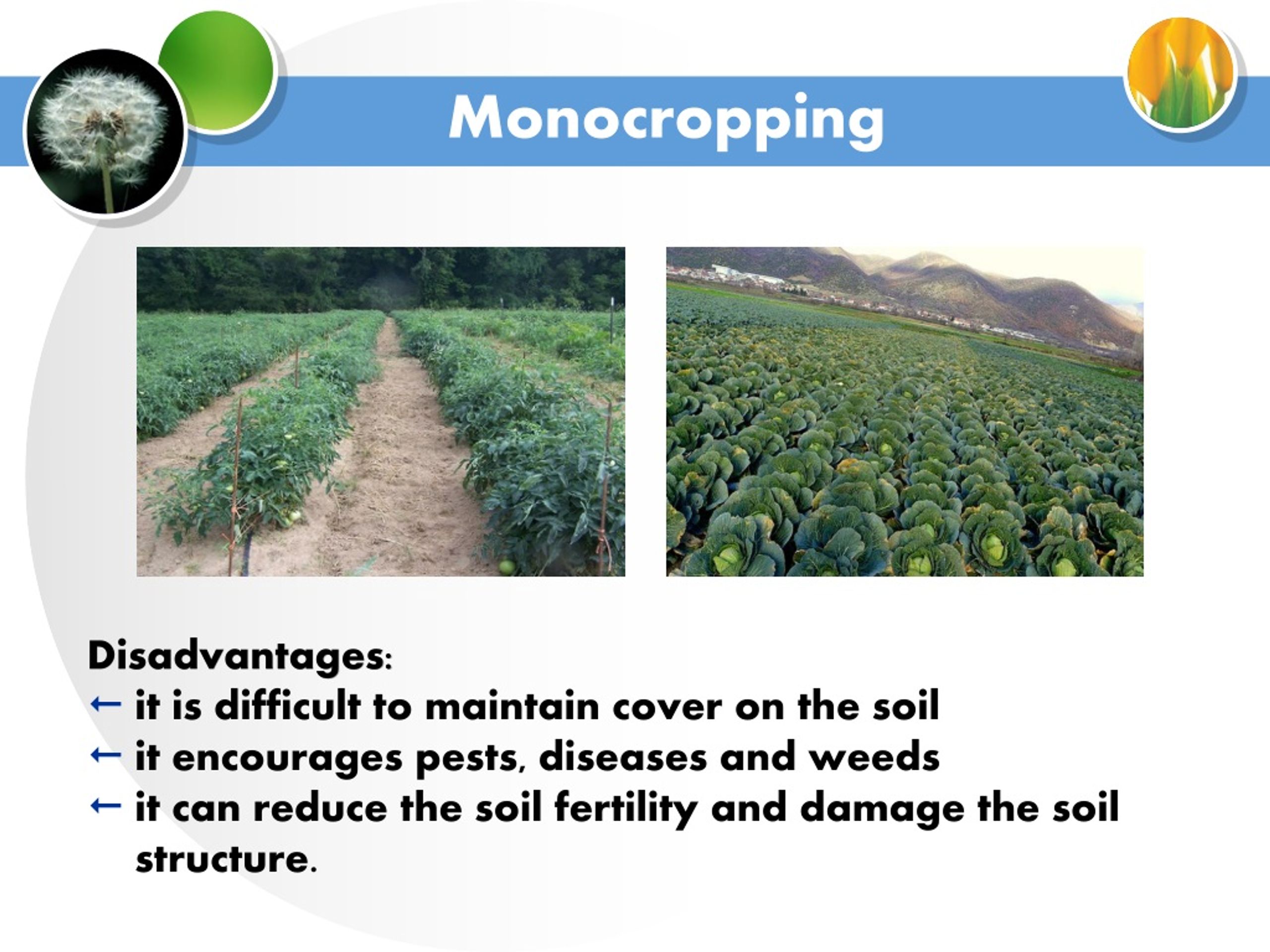 PPT Cropping systems, Cropping patterns ABT320 PowerPoint