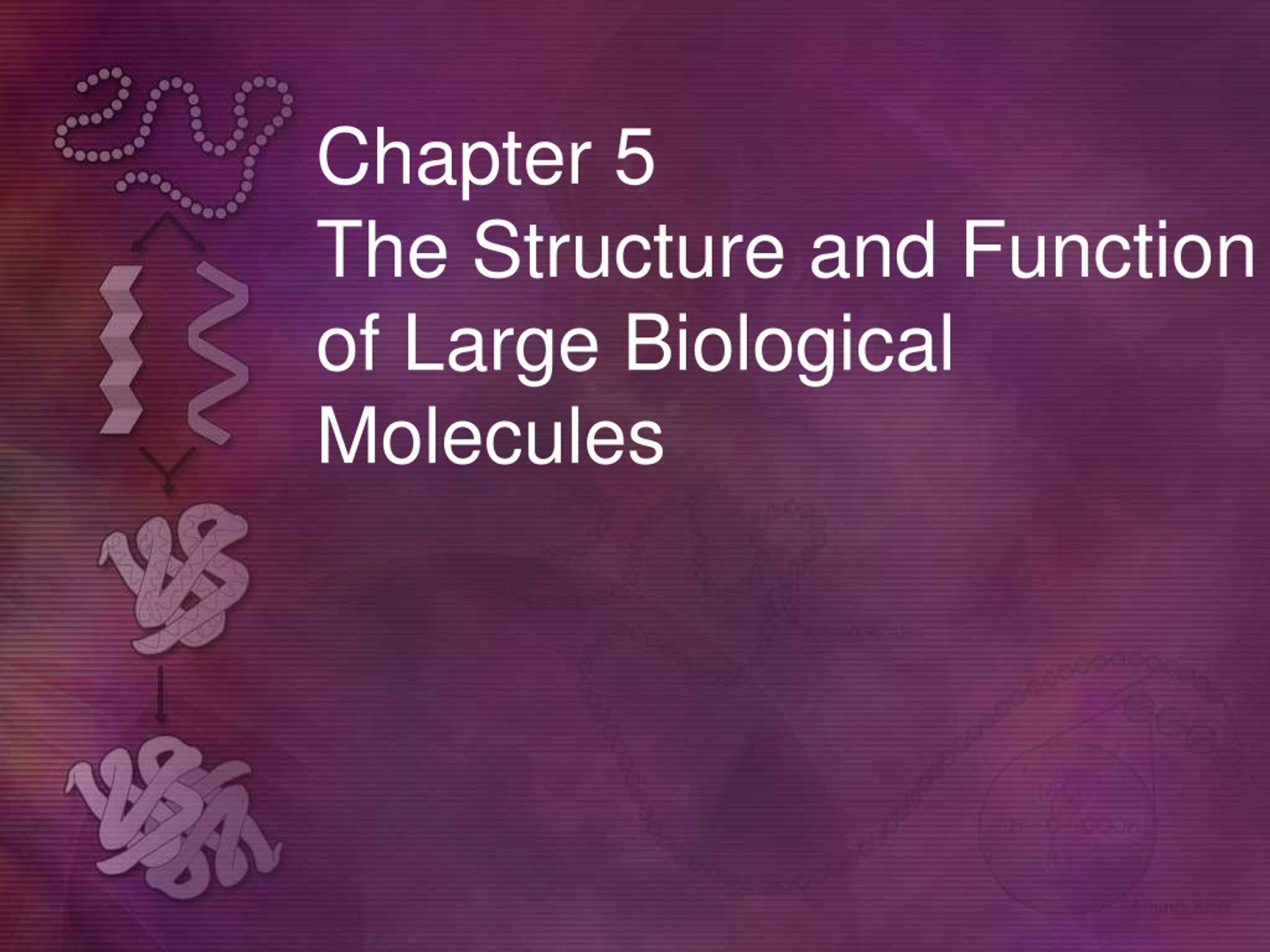 PPT Chapter 5 The Structure and Function of Large Biological Molecules PowerPoint Presentation