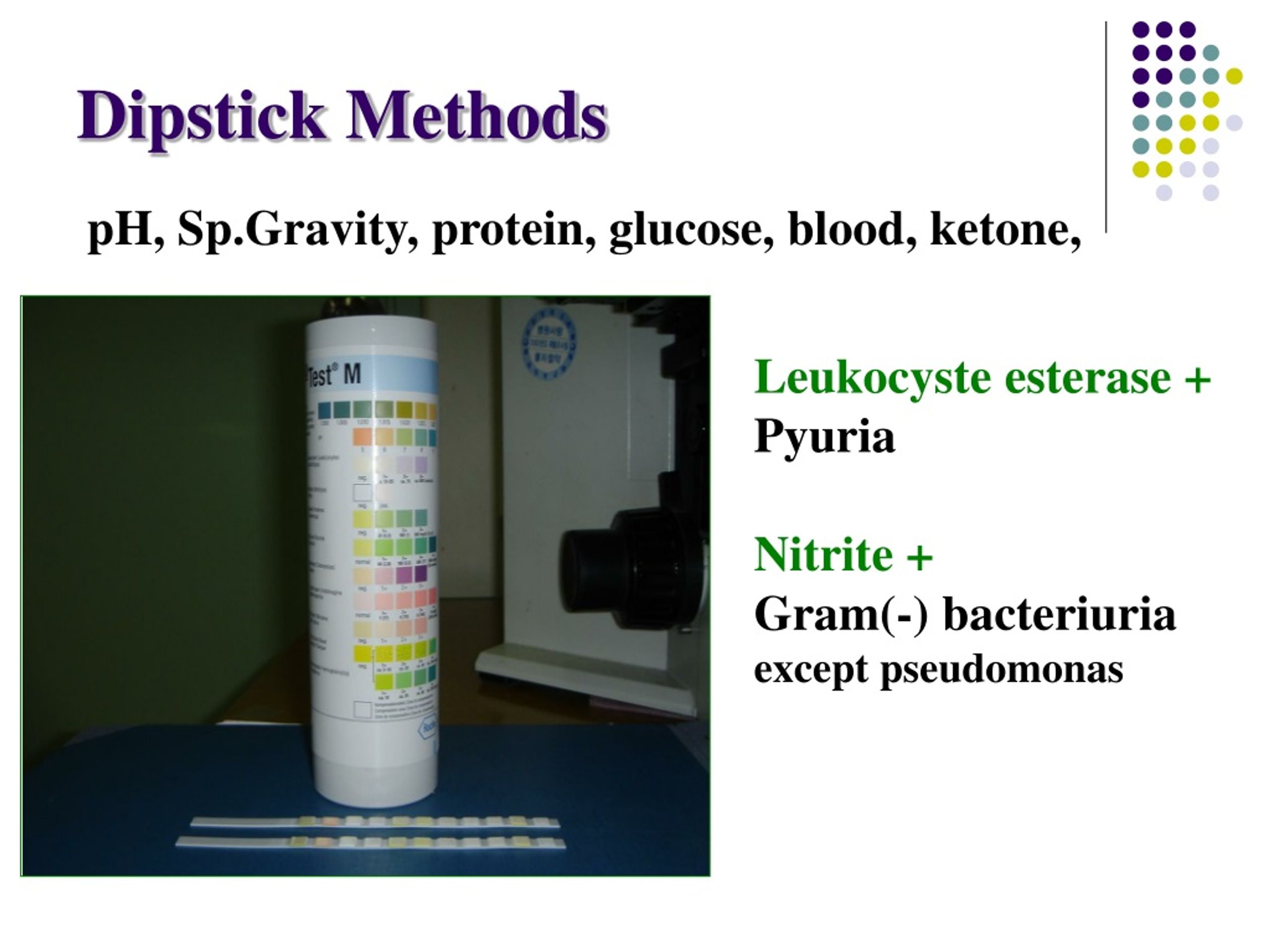 PPT URINARY TRACT INFECTIONS PowerPoint Presentation, free download