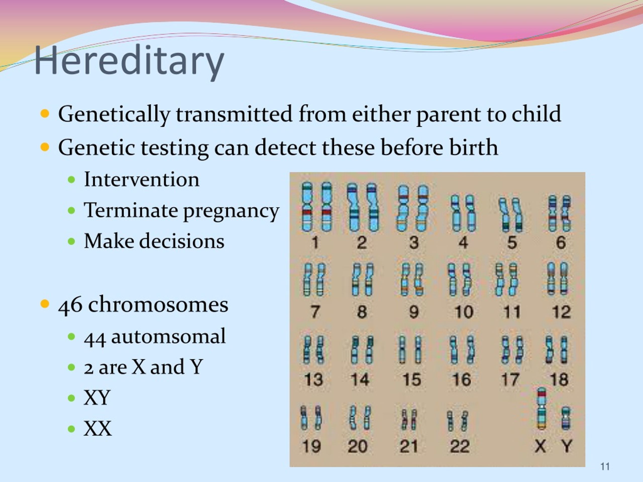 PPT Introduction to Radiographic Pathology PowerPoint Presentation