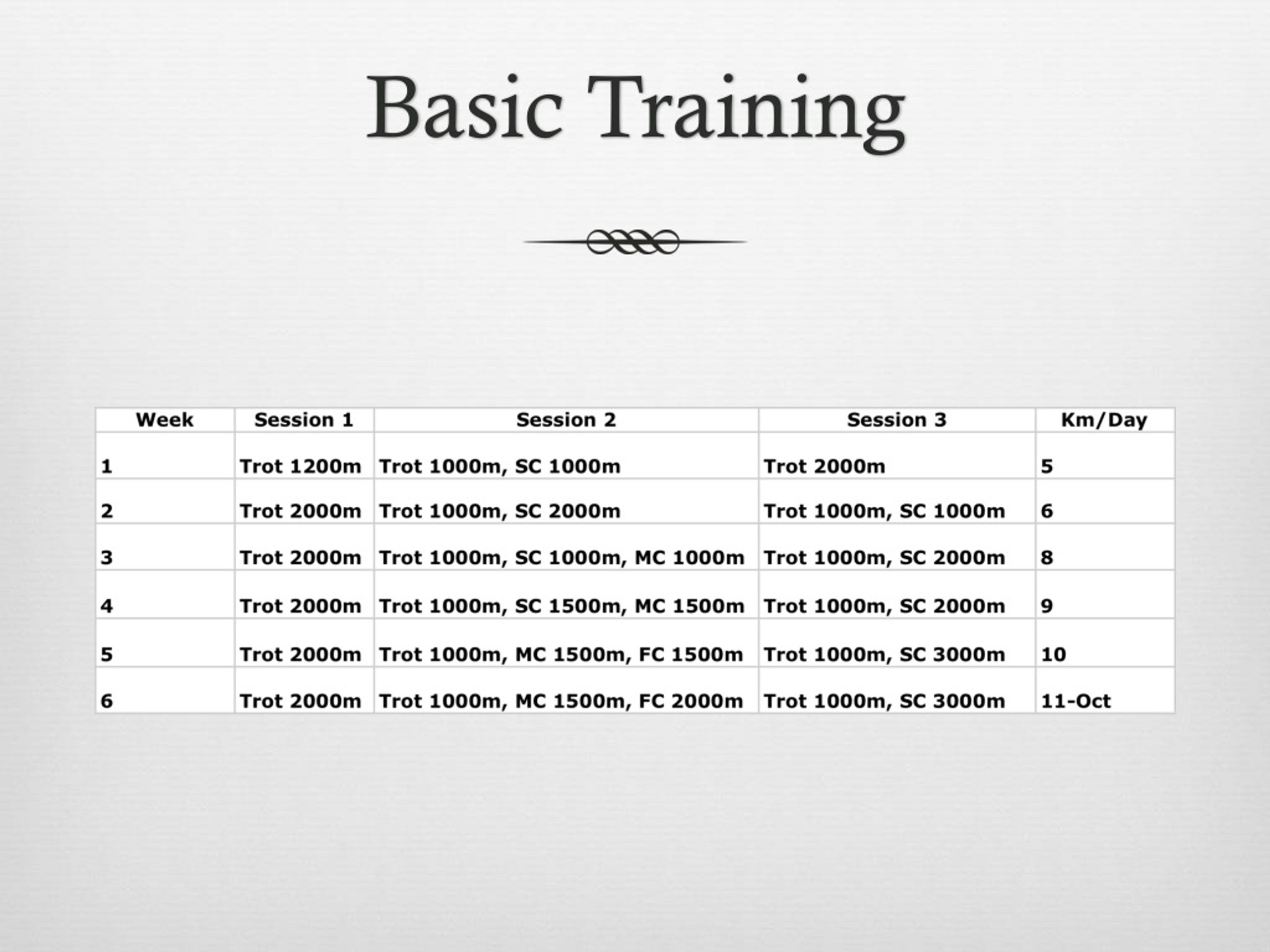 PPT Training program for a twoyear old thoroughbred PowerPoint