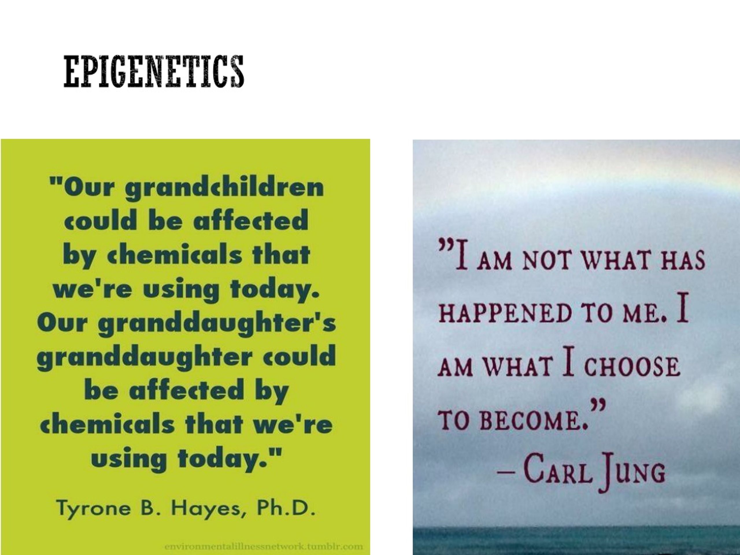 PPT Mechanism of and it’s Role in the Gene Regulation