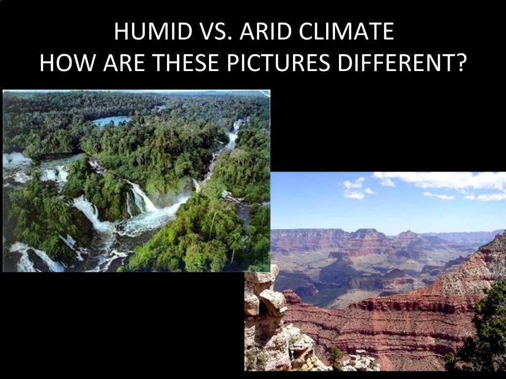 PPT HUMID VS. ARID CLIMATE HOW ARE THESE PICTURES DIFFERENT