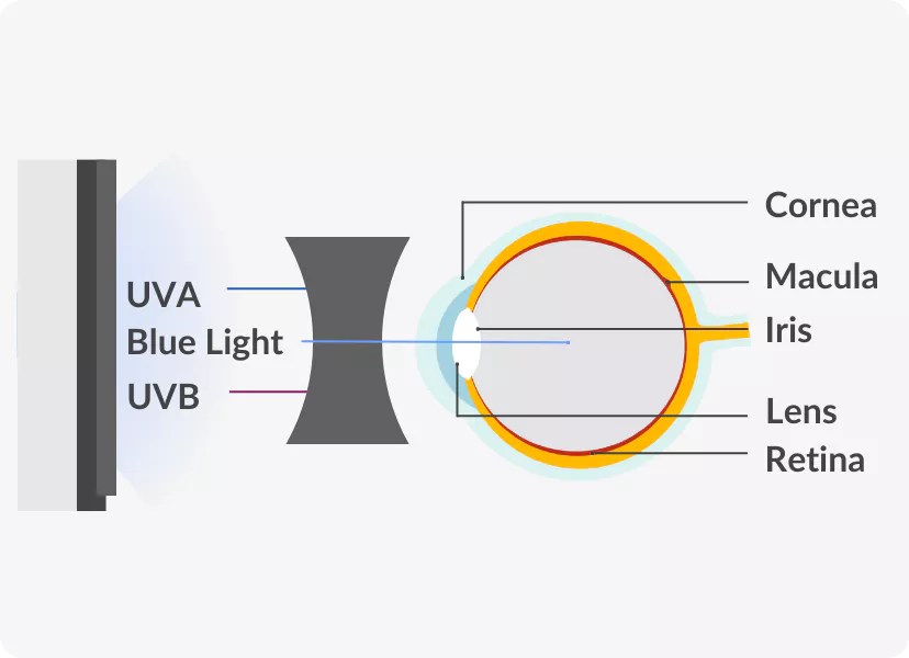 What Are Blue Light Glasses? Purpose, Benefits, and more insights