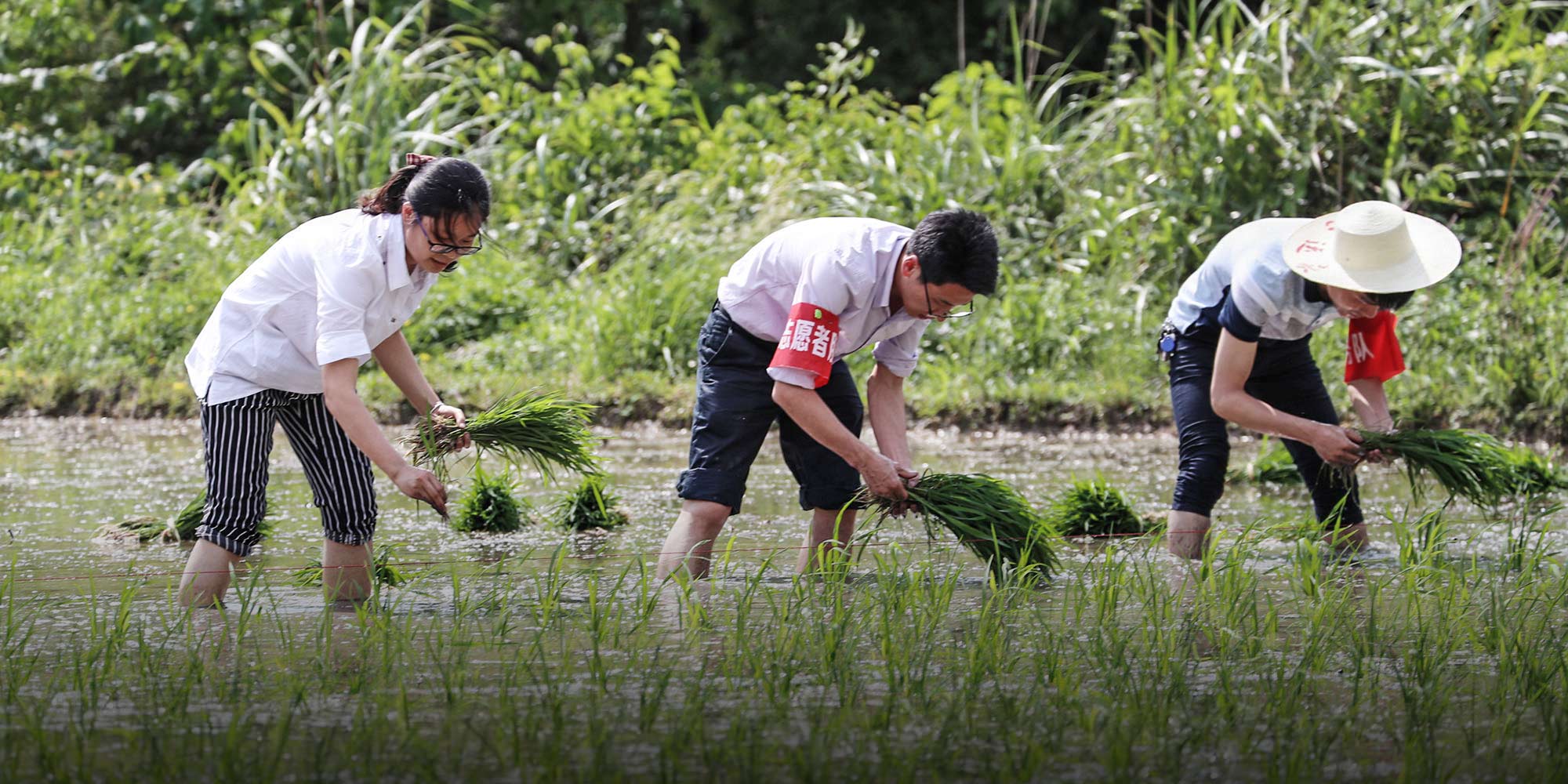 Why I Swapped College Life for SmallTown Politics