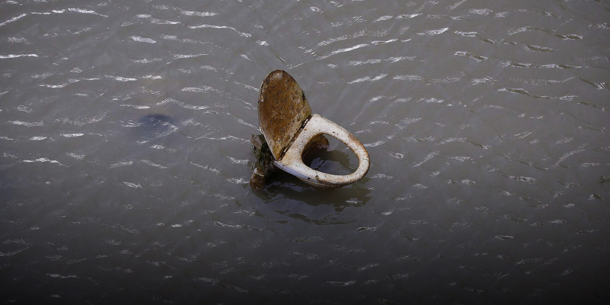 Seats, Squats, and Leaves A Brief History of Chinese Toilets