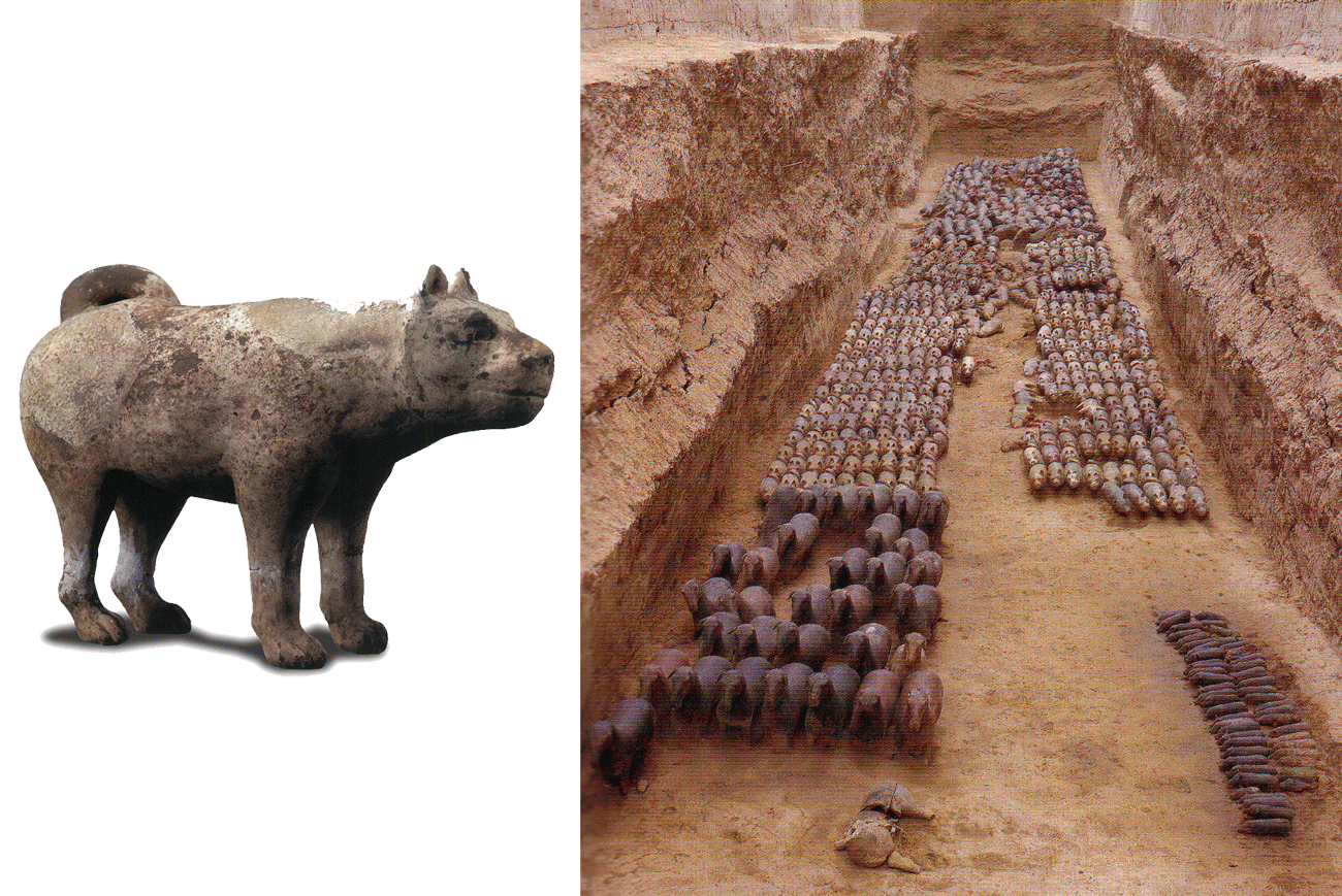 A New History of the Chinese Zodiac China Environment News