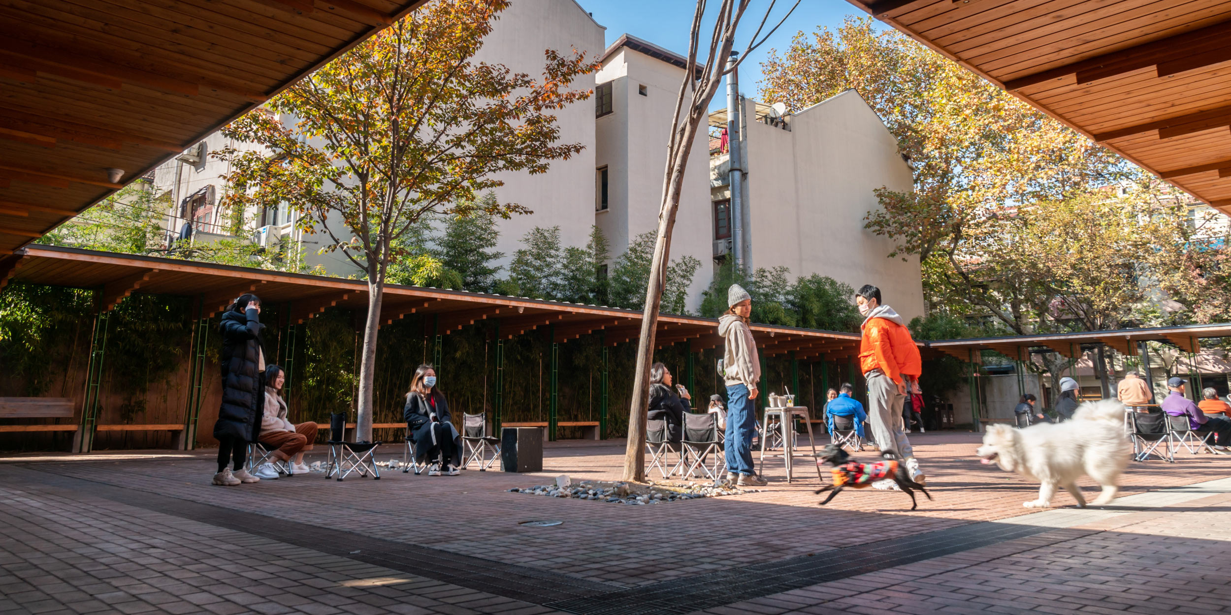 Shanghai’s Pocket Parks Flourishing Gems and Gardens