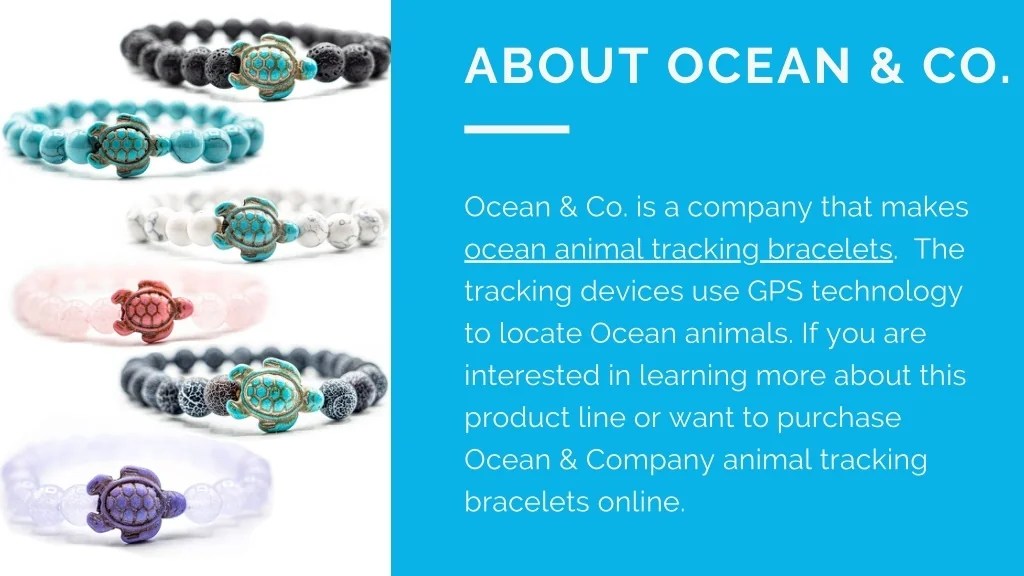 PPT Buy Ocean and Company Turtle Tracking Products