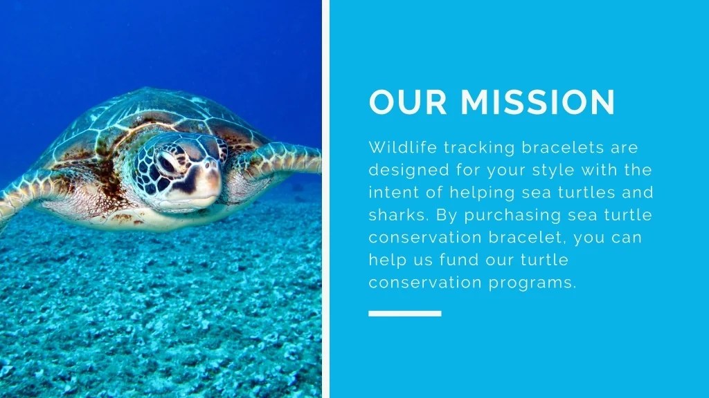 PPT Buy Ocean and Company Turtle Tracking Products