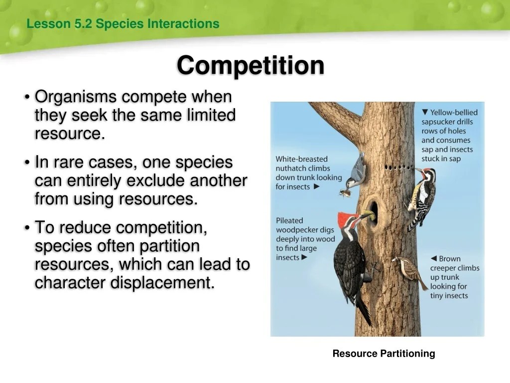 PPT Evolution and Community Ecology PowerPoint Presentation, free