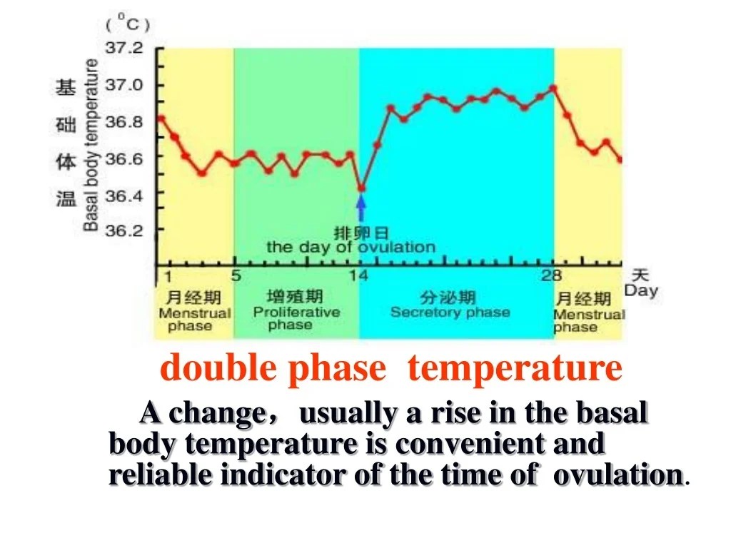 PPT Body Temperature and its Regulation PowerPoint Presentation, free