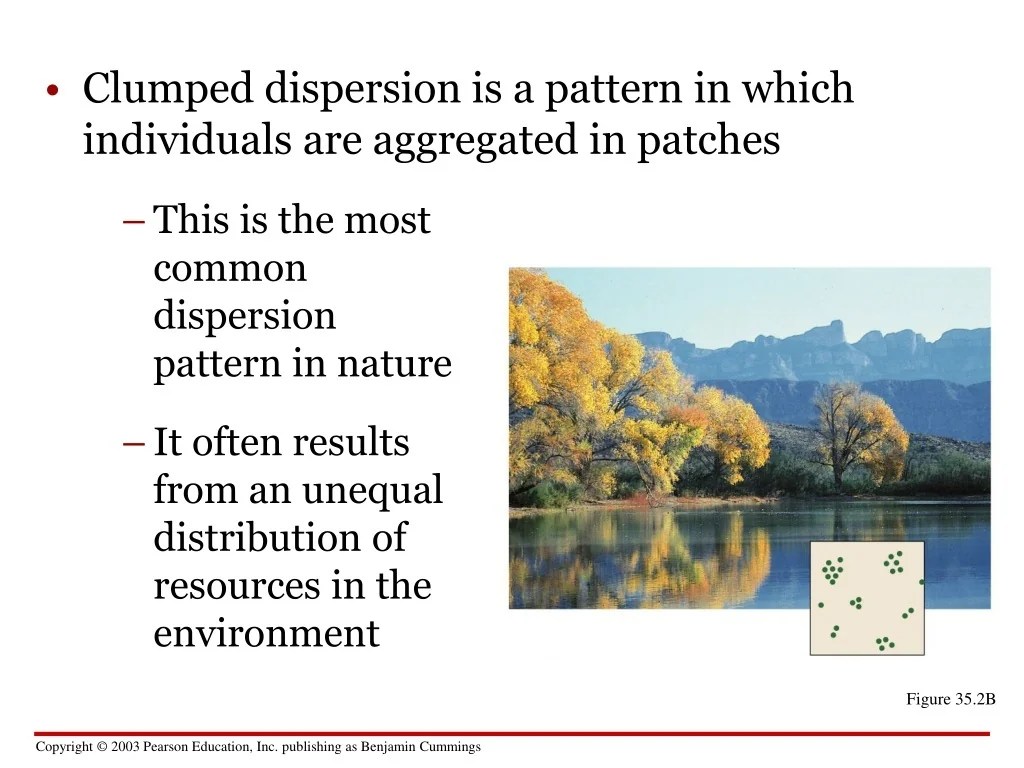 PPT CHAPTER 35 Population Dynamics PowerPoint Presentation, free