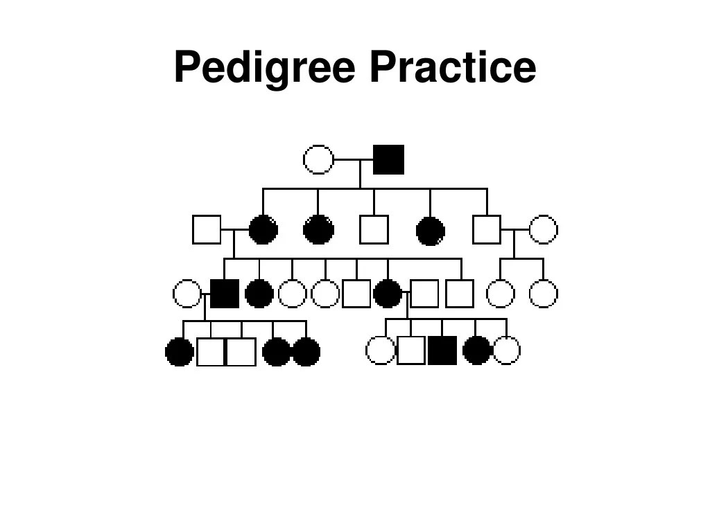 PPT - Mastering Pedigree Analysis: Understanding Inheritance Patterns