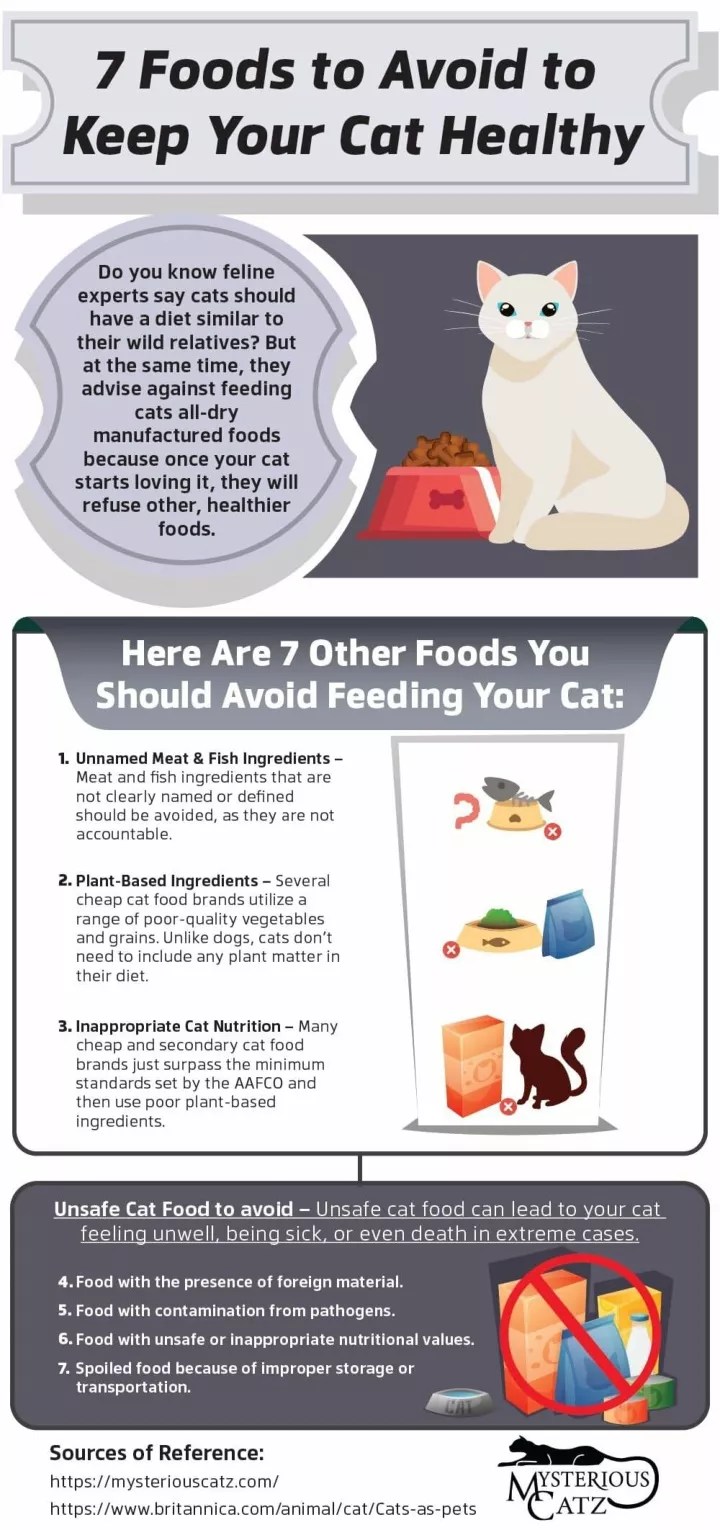 PPT 7 Foods to Avoid to Keep Your Cat Healthy PowerPoint Presentation