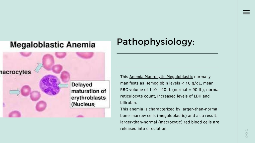 PPT Anemia Macrocytic Megaloblastic PowerPoint Presentation, free