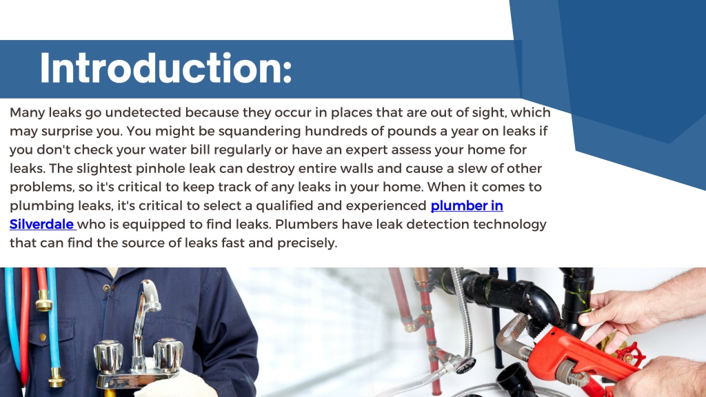 PPT How do the Plumbers detect water Leaks Tools, Techniques, and