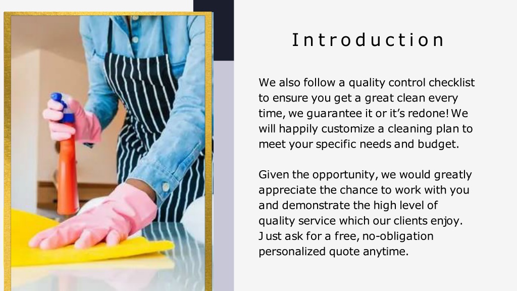 PPT Cleaning Franchise For Sale PowerPoint Presentation, free