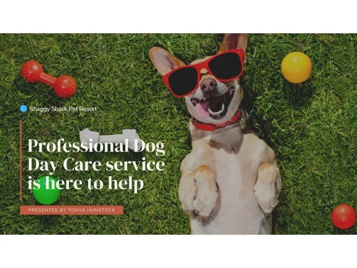 PPT Professional Dog Day Care service is here to help PowerPoint