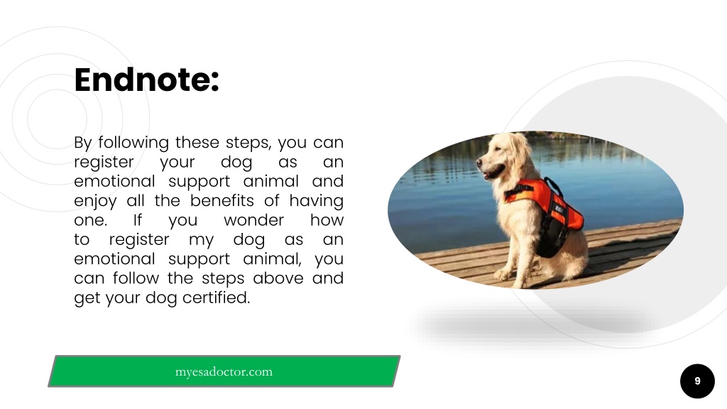 PPT Emotional Support Dog Certificate PowerPoint Presentation, free