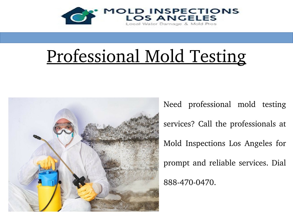 PPT Professional Mold Testing Near Me PowerPoint Presentation, free