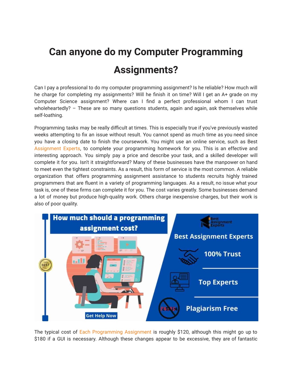 PPT Can anyone do my Computer Programming Assignments? PowerPoint
