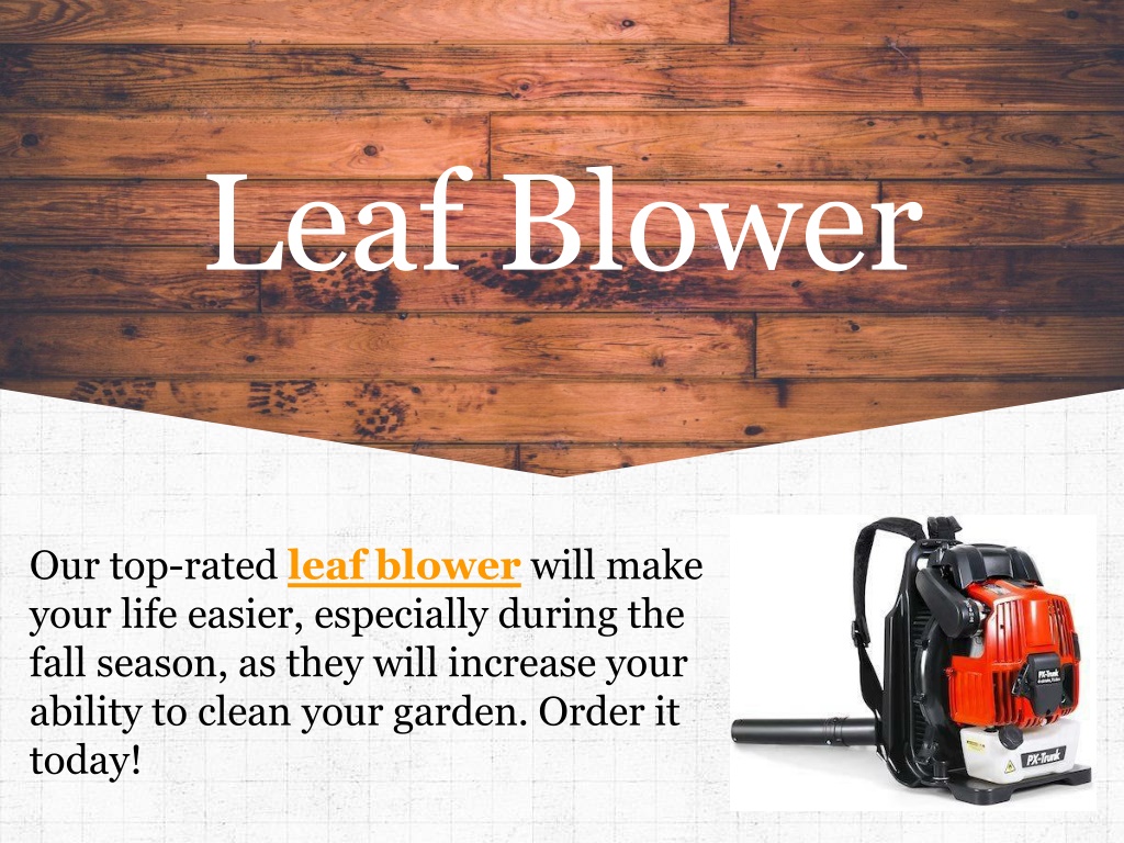 PPT - Gas Leaf Blower PowerPoint Presentation, free download - ID:11539676