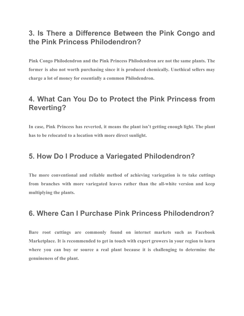 PPT Pink Princess Philodendron 10 Practical Growing and Caring Tips