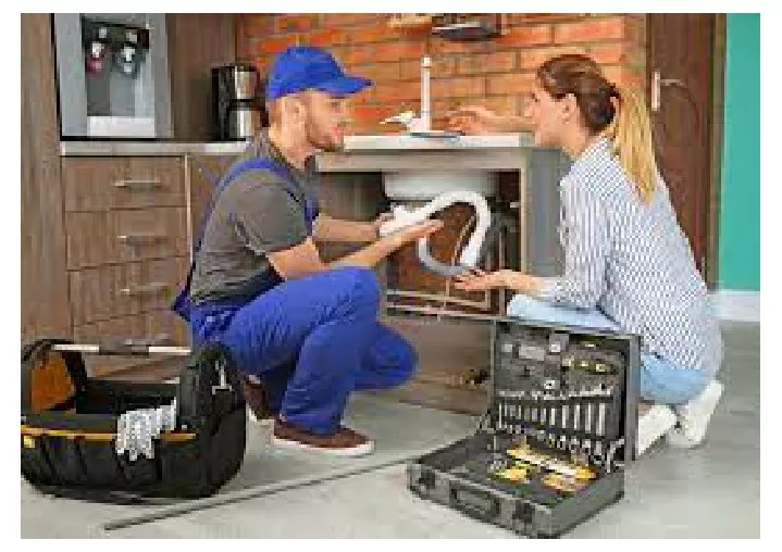 PPT Professional Plumbers in North Vancouver PowerPoint Presentation