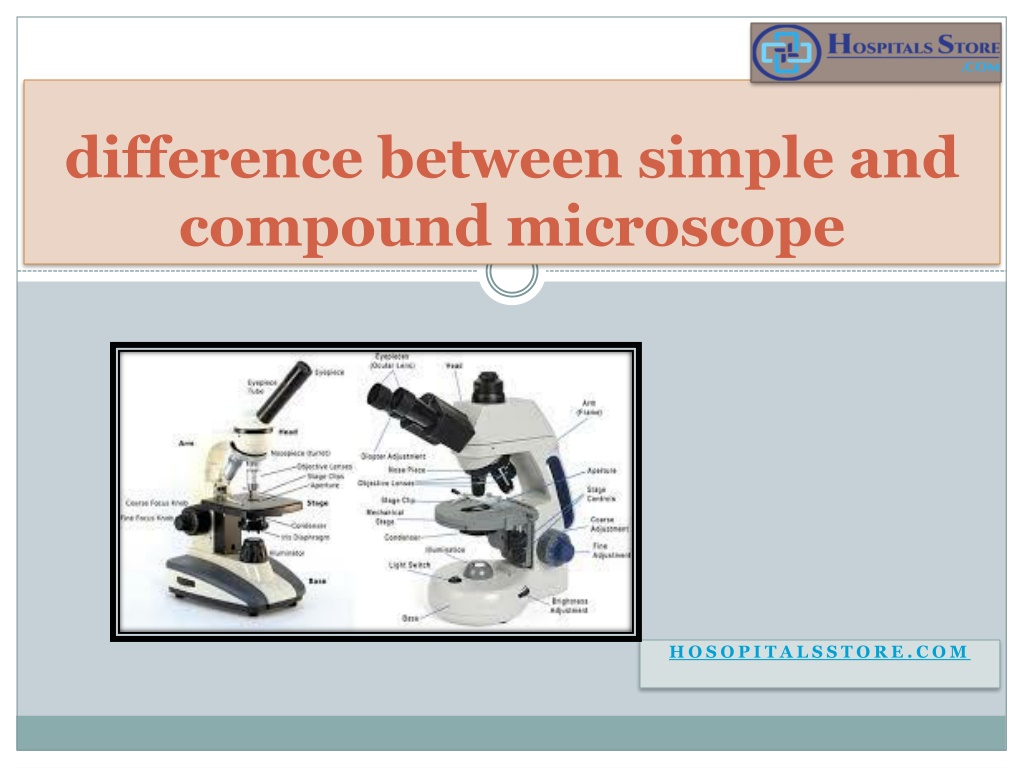 PPT difference between simple and compound microscope PowerPoint