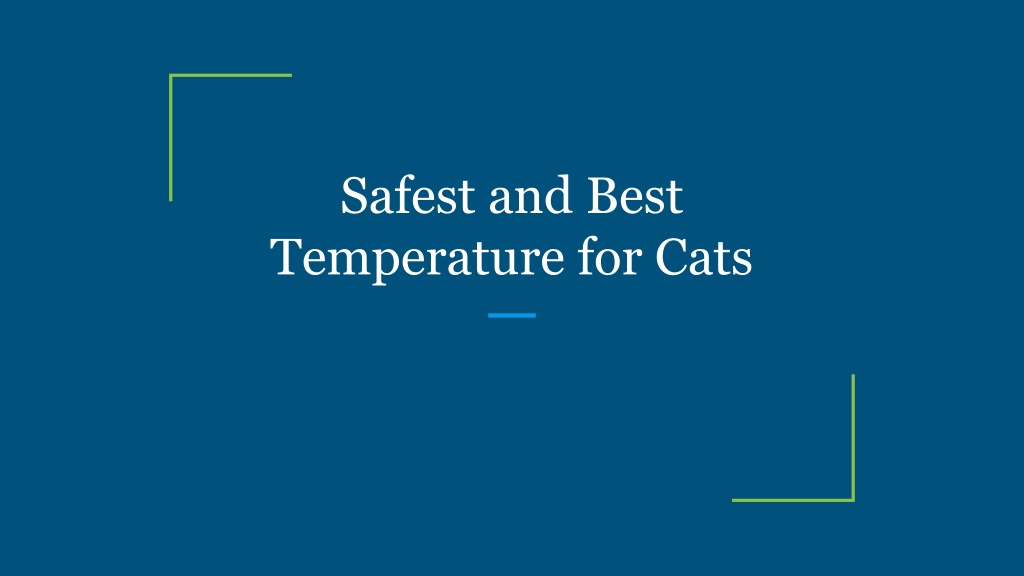 PPT Safest and Best Temperature for Cats PowerPoint Presentation
