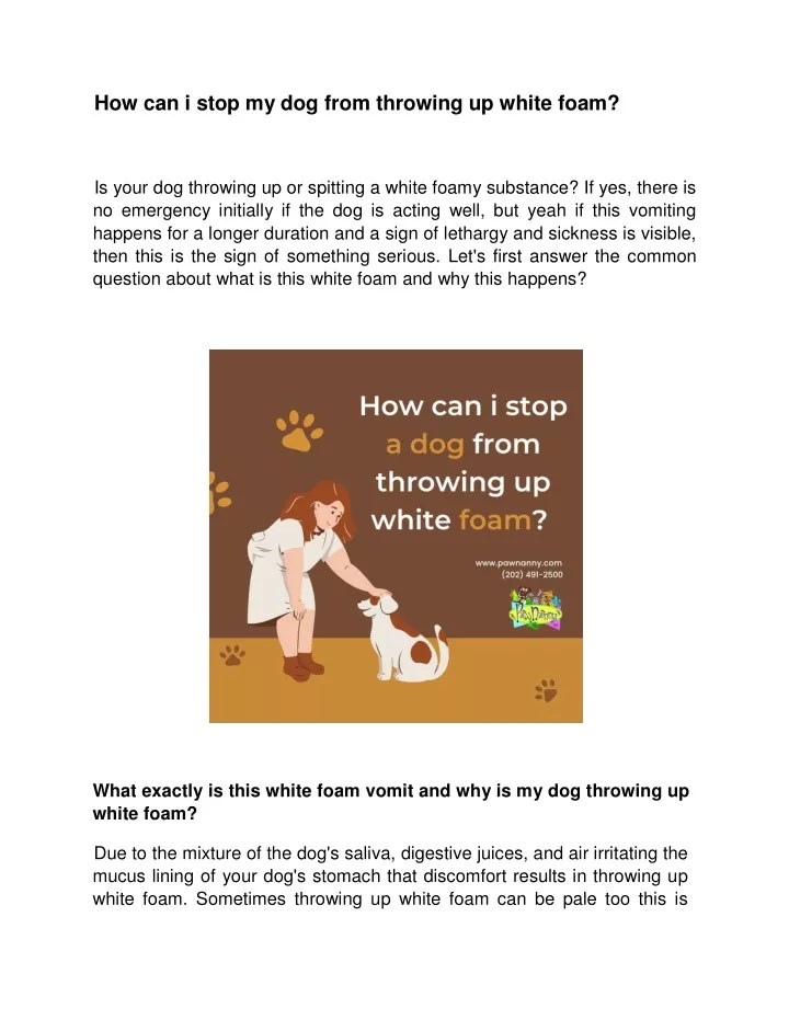 PPT How can i stop my dog from throwing up white foam PowerPoint