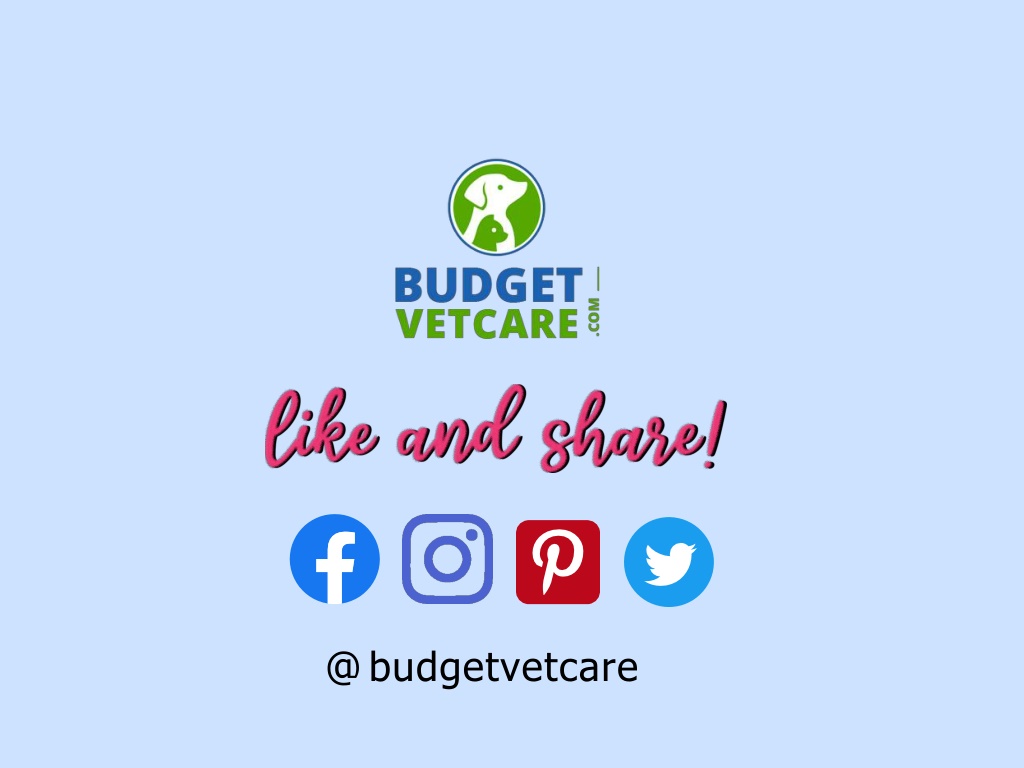 PPT Can we use salt as an effective flea treatment ? PowerPoint