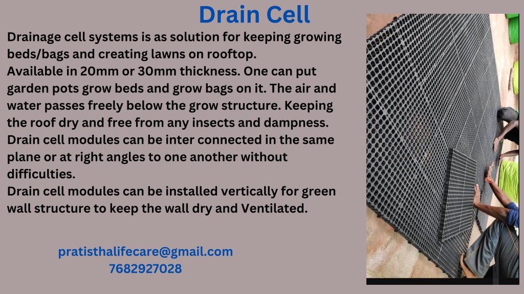 PPT Drain Cell PowerPoint Presentation, free download ID11949093