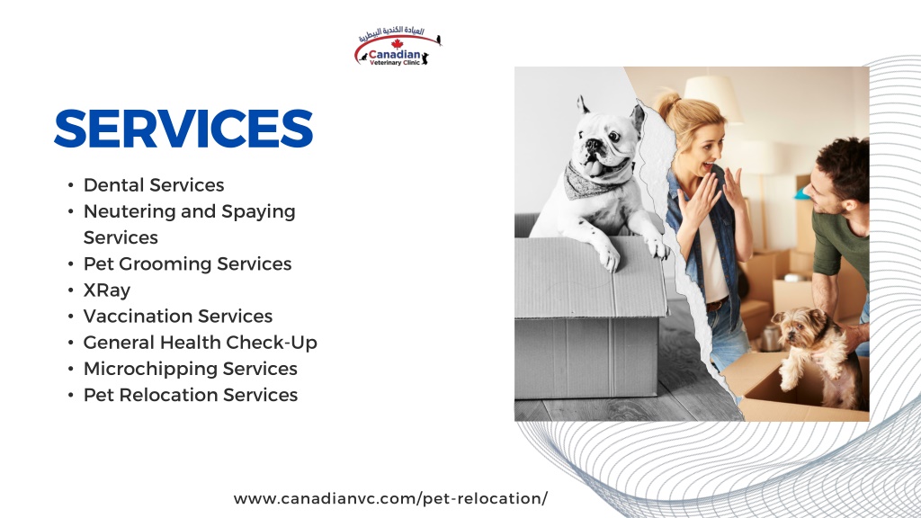 PPT pet relocation services dubai PowerPoint Presentation, free