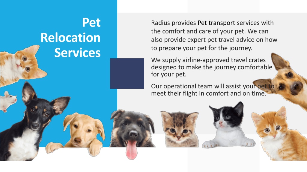 PPT Pet Logistics Services In Delhi Pet Relocation Services